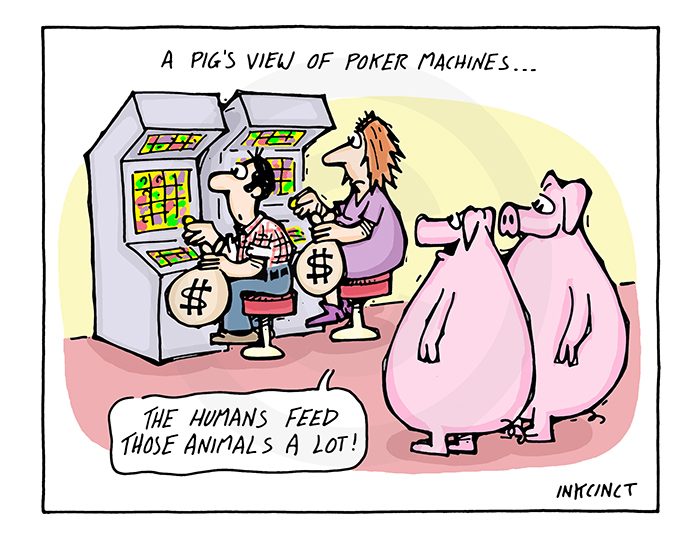 2011-398 pig's view of poker machines 24th March