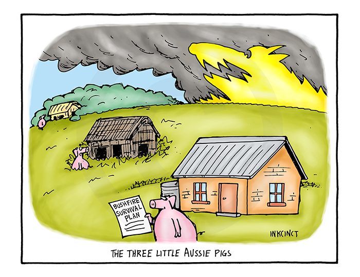 2011-704 The three little Aussie pigs 17th November