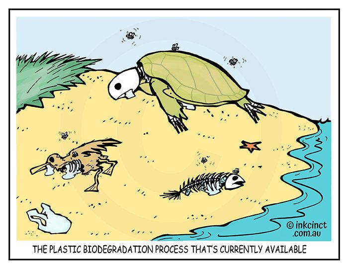 2018-386 The plastic biodegradation process  currently available, bird fish turtle - ENVIONMENT 24th August