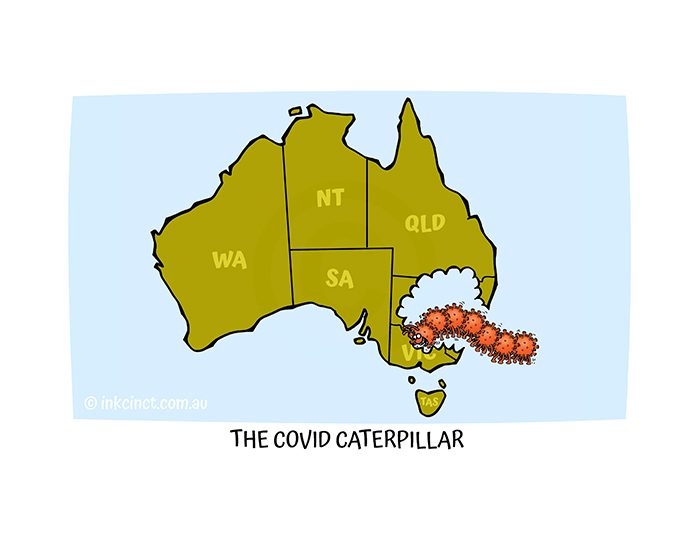 2021-285P The COVID caterpillar - MSC 19-Aug-21 copy