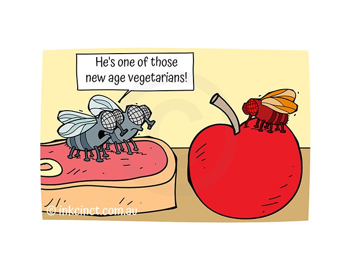 2021-363P He's one of those new age vegetarians, FRUIT FLY - MSC 08-Oct-21 copy