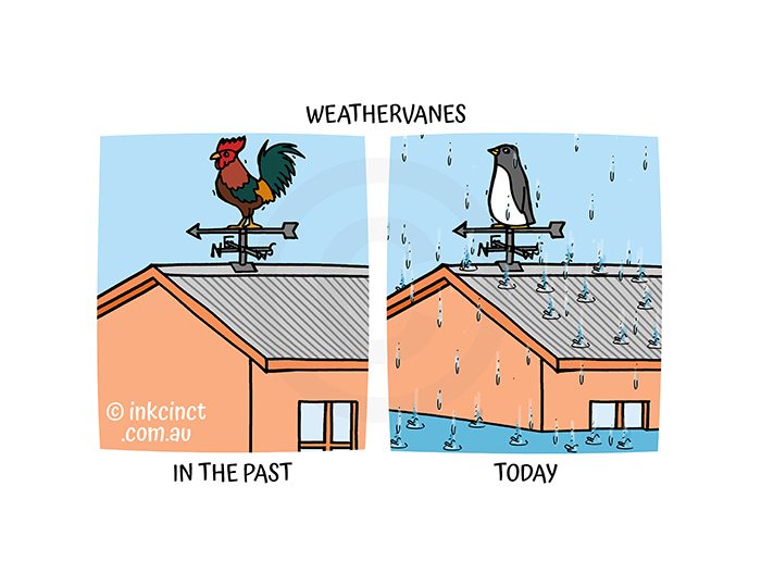 2022-362P Weathervane today, COCK PENGUIN RAIN FLOODING WEATHER - MSC 18-Oct-22